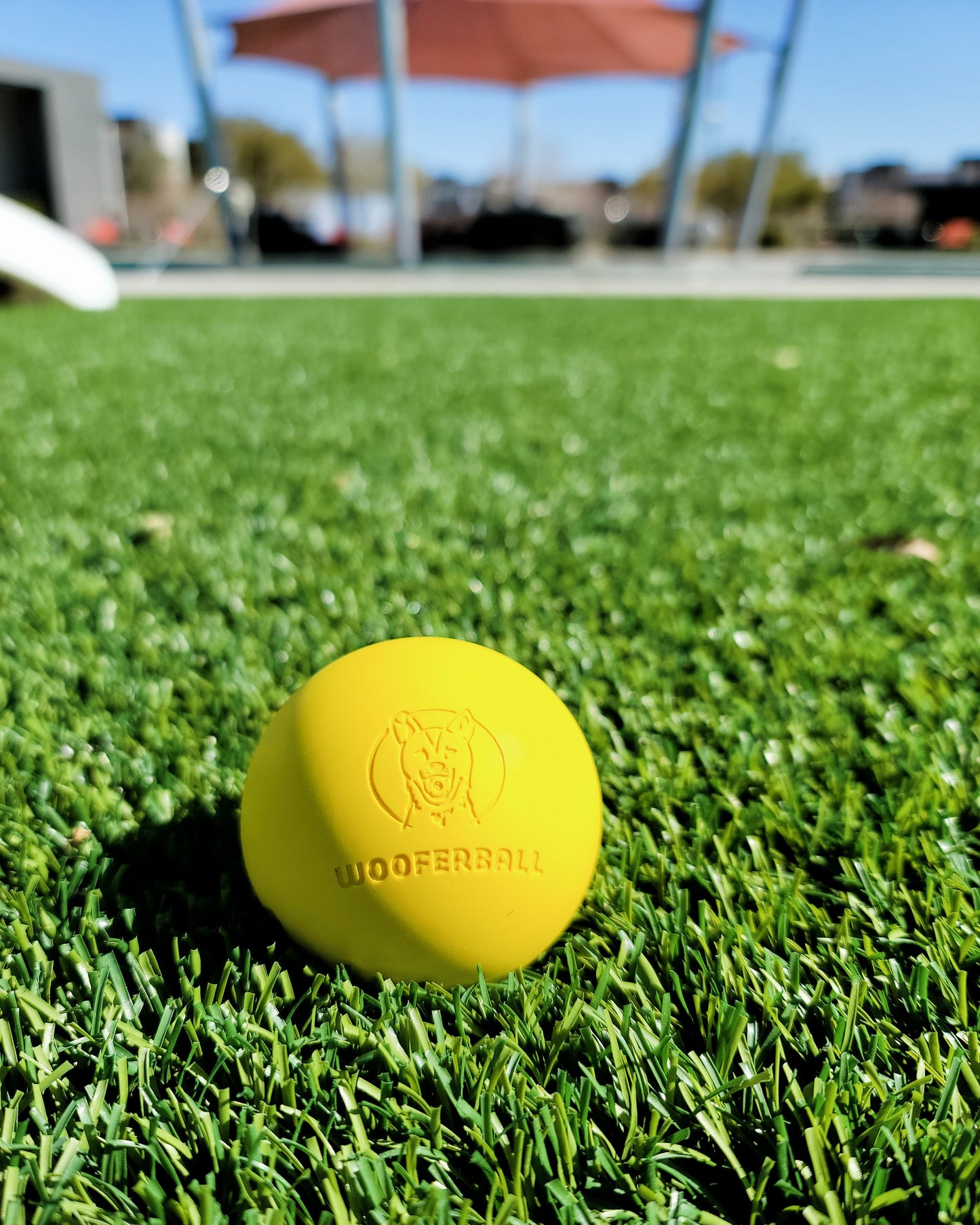 The Original Wooferball